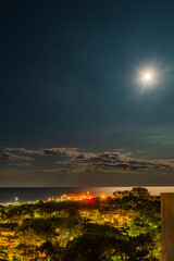 Obraz premium A different look. The pine forest of Lignano Sabbiadoro from above.