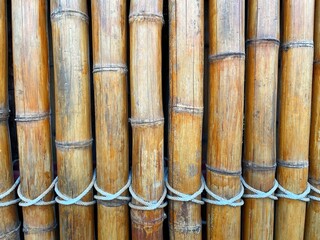 Obraz premium Several bamboo trees were arranged together and beautifully tied with rope.