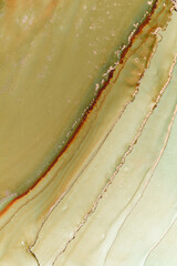 Alcohol ink art.Mixing liquid paints. Modern, abstract colorful background, wallpaper. Marble texture.Translucent colors