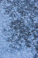 フロストフラワー
