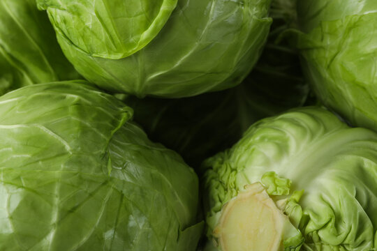 Fresh Green Cabbage On Whole Background, Close Up