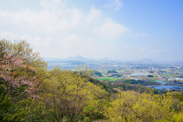 春の里山　讃岐平野(香川県三木町から高松市街方面を望む)