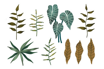 Hand drawn Tropical leaves isolated on white background. Stylized plants collection