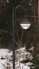 beautiful street lamp on a spring day against the background of trees in the park