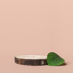 Natural organic food product presentation. Wood slab podium element with green leaf. 3d rendering
