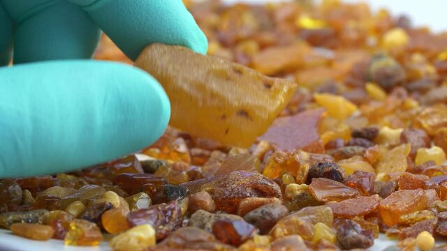 Inspecting Collection of Raw Amber Stone in Protective Gloves Macro