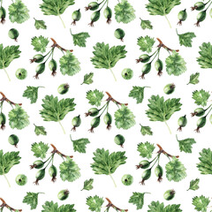 Watercolor seamless pattern with the image of twigs, leaves and berries of ripe gooseberries
