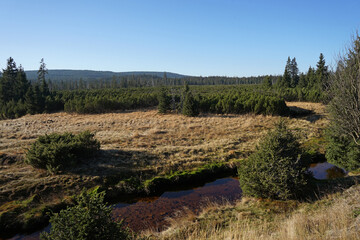 Jizerka historic village with traditional wooden huts in pure mountain nature, popular tourist destination, Jizera Mountains, Czech Republic