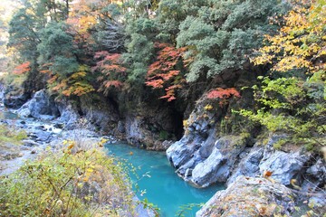 紅葉の渓谷