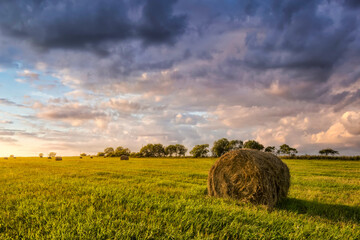 A field with haystacks on a summer or early autumn evening with a cloudy sky in the background....