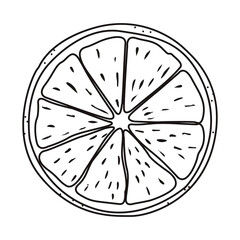 Linear drawing orange slice isolated on white background. Sketch for coloring booking page, menu. Vector illustration citrus fruits