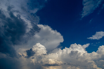 Cumulus clouds in a blue sky.