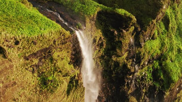 Poco Ribeira do Ferreiro, Alagoinha, Flores Island, Azores, Portugal. Endemic vegetation covers coastal volcanic cliff. Drone footage of isolated abandoned place. High quality 4k footage