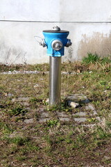 Brand new fire hydrant with shiny metal pipe and blue top with five strong caps covering connections for fire trucks surrounded with uncut grass and rocks in front of grey family house wall