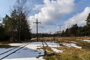 Tory  © wedrownik52