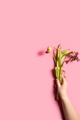 Wilted flowers in a hand on the pink background. Treat yourself right concept. Flowers demonstrating a woman's self-love, significance, and soul. Vertical image with copy space