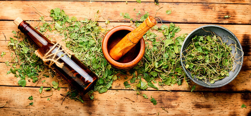 Fototapeta na wymiar Bottle of tincture of medicinal herbs
