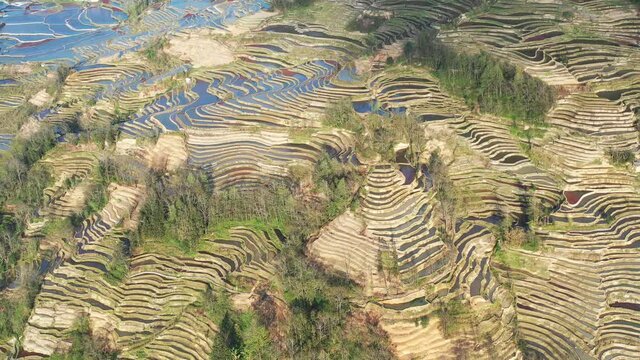 beautiful terraced fields texture from above, yuanyang county, yunnan province, China.