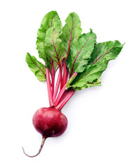 Single young beetroot on white backgrounds. - obrazy, fototapety, plakaty