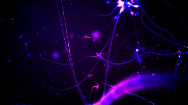 Synapse and Neuron cells sending electrical chemical signals. 3d animation in pink and violet colors.