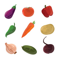 Set of  vegetable icons vector isolated