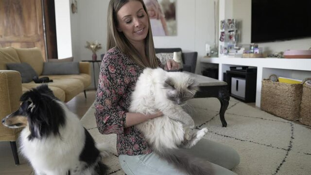 Woman at home brushing birman cat's hair