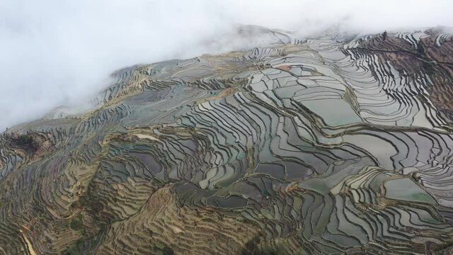 beautiful yunyang hani rice terraces in cloud fog,  aerial video of yunnan landscape, China.