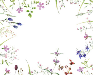 Frame made of watercolor wild flowers and herbs on white background