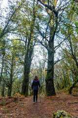Fototapeta premium A young man trekking on Mount Arno in the municipality of Mutriku in Gipuzkoa. Basque Country, Spain