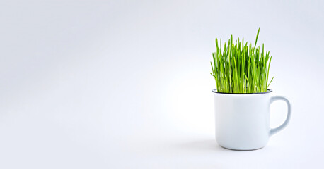Green grass in a white mug on a white background.
