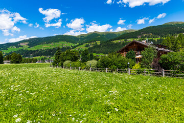 Typical views of the dolomitic valley floor. The Val Fiscalina