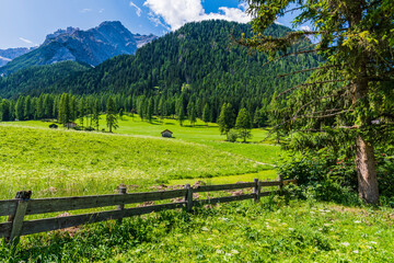 Fototapeta premium Typical views of the dolomitic valley floor. The Val Fiscalina