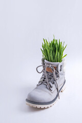 Green grass in a gray boot on a white background. Spring concept.