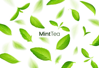 Realistic fresh mint tea green leaves on white background, tea and herb © MarySan