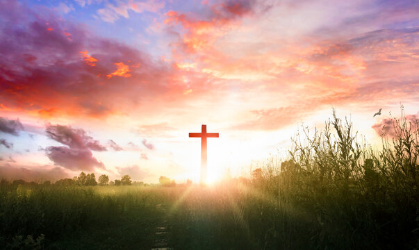 Christ Jesus concept: cross in the morning at sunrise
