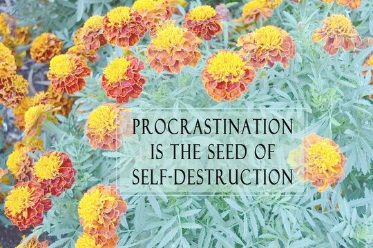 Motivational quote on blurred background of flowers - Procrastination is the seed of self destruction