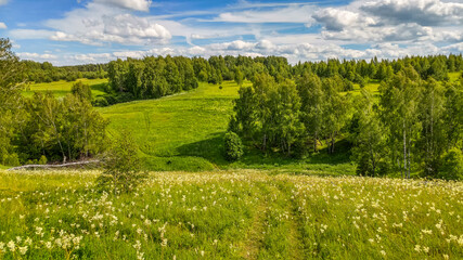 Fototapeta premium Beautiful landscape of field with flowers and green grass growing under the shining sun and a path leading to the horizon in springtime