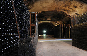 Wine cellar with shelves of wine bottles 