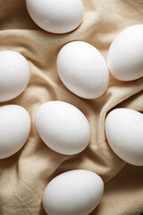 Eggs close up