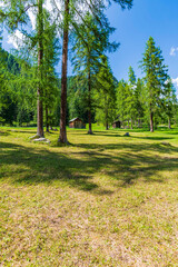 Typical views of the dolomitic valley floor. The Val Fiscalina