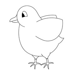 Chick. A cute chick flaps its wings. Sketch. Vector illustration. Coloring book for children. The baby hen is ready to fly. Outline on white isolated background. Doodle style. Festive print.
