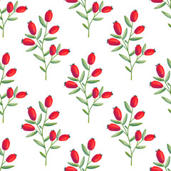 Red Rosehips with flowers and berries seamless pattern for tea. Black and white Graphic drawing, engraving style. hand drawn illustration on white background