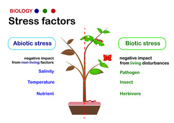 Biology diagram explain stress factor (biotic and abiotic stress) on living organism such as plant