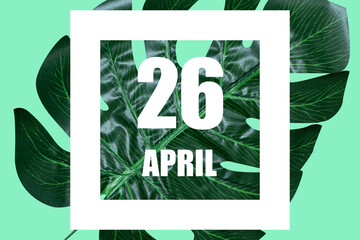 april 26th. Day 26 of month,Date text in white frame against tropical monstera leaf on green background spring month, day of the year concept