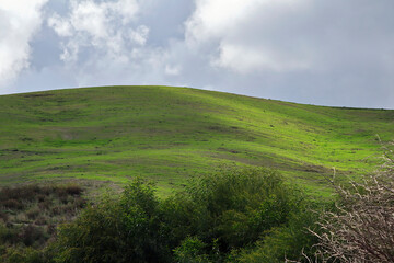Fototapeta premium Countryside near Catanzaro on a cloudy Day (Italy)