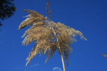 naturaleza 2