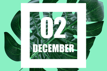 december 2nd. Day 2 of month,Date text in white frame against tropical monstera leaf on green background winter month, day of the year concept