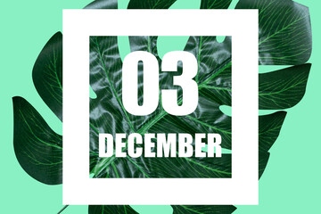 december 3rd. Day 3 of month,Date text in white frame against tropical monstera leaf on green background winter month, day of the year concept