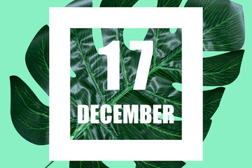 december 17th. Day 17 of month,Date text in white frame against tropical monstera leaf on green...