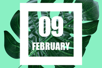 february 9th. Day 9 of month,Date text in white frame against tropical monstera leaf on green...
